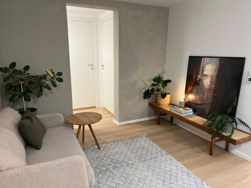 Newly renovated Trondheim apartment