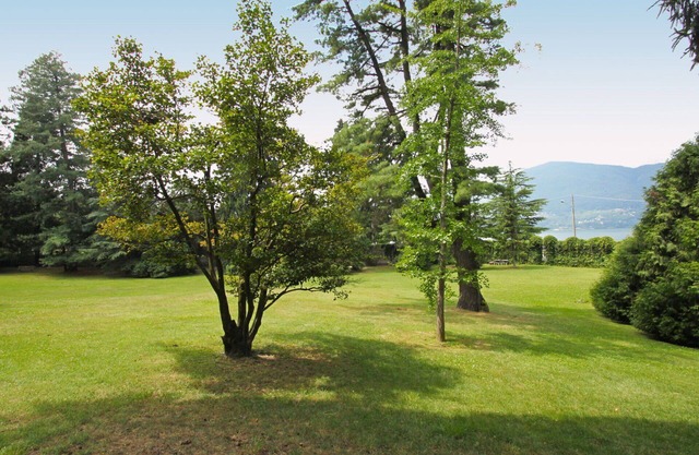Nice apartment for 4 guests with WIFI, pool, TV, balcony and pets allowed