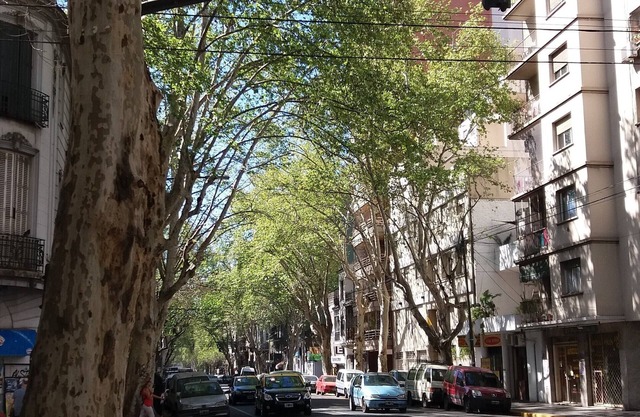 Nice Apartment 344ft²/32m² 1br Almagro (CABA - Almagro)