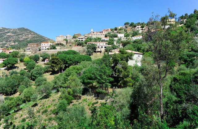 Nice apartment for 4 people with WIFI, A/C, TV, patio, pets allowed and panoramic view