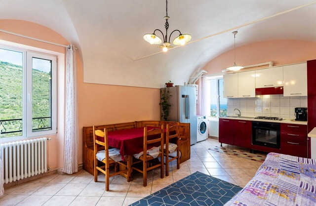 Nice apartment for 4 people with WIFI and pets allowed