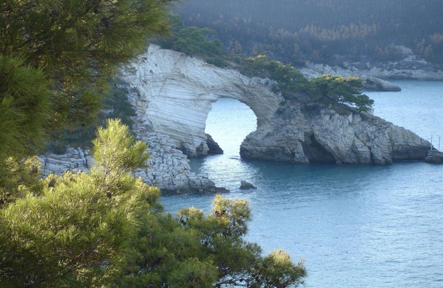 Nice apartment with AC, in beautiful national park