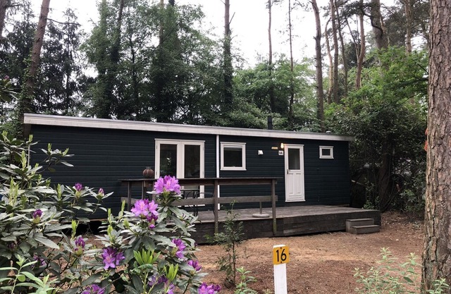 Nice chalet with garden, in the Antwerp Kempen
