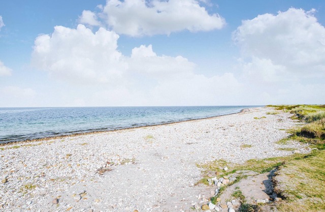 Nice cottage with wood stove and idyllic garden, close to wonderful sandy beach.