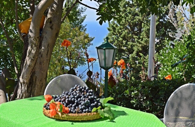 Nice studio Borak (2 persons) with great view