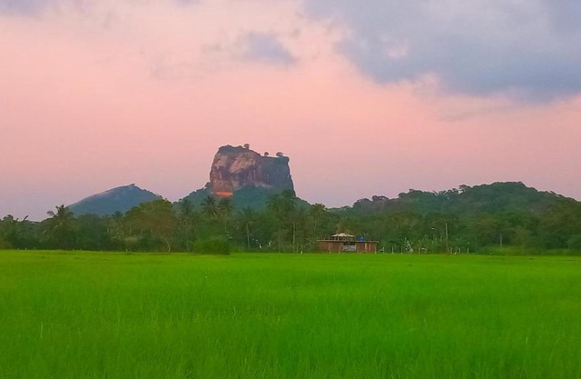 Nice View Lodge