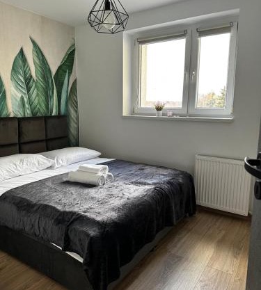 Niron Apartament Dąbrowskiego 4