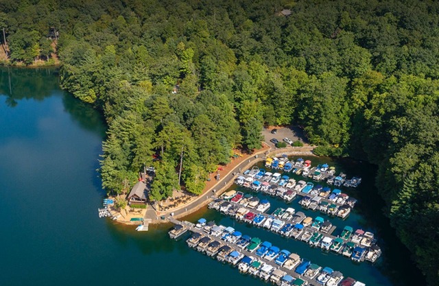 North Georgia Mountains/Lake and Golf Views- Pet Friendly