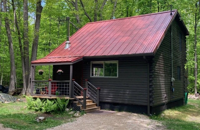 Northern Bliss Cabin near Wilderness State Park & Mackinaw