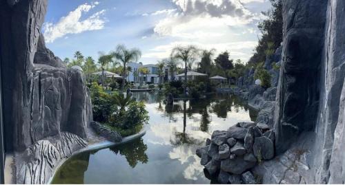 Oasis Serenity