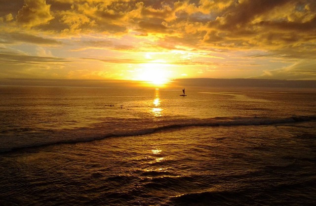 Ocean Front Banyan Tree 304 - Spectacular views!