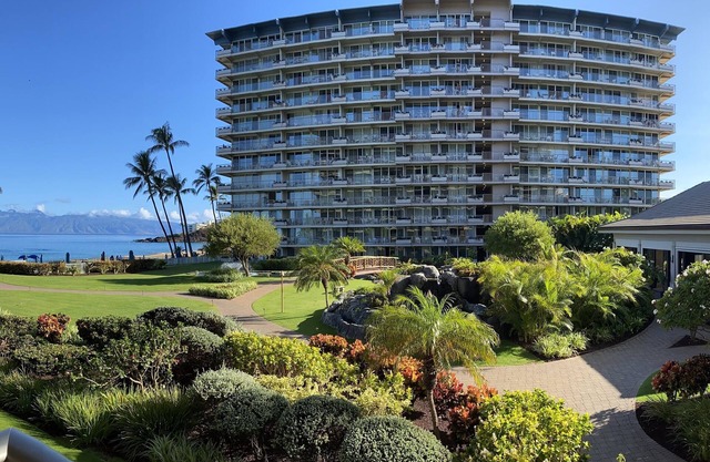 Ocean View Studio #264 - Fall Getaway - November 9-18, 2025
