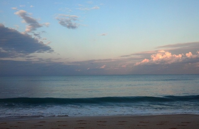 Ocean Views, Secluded 3 Story Home On 1/2 Acre of Palms,Self Check-in