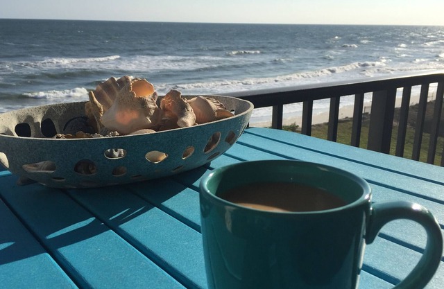 Oceanfront-Best Views Of The Beach-New Smyrna Beach-3/2