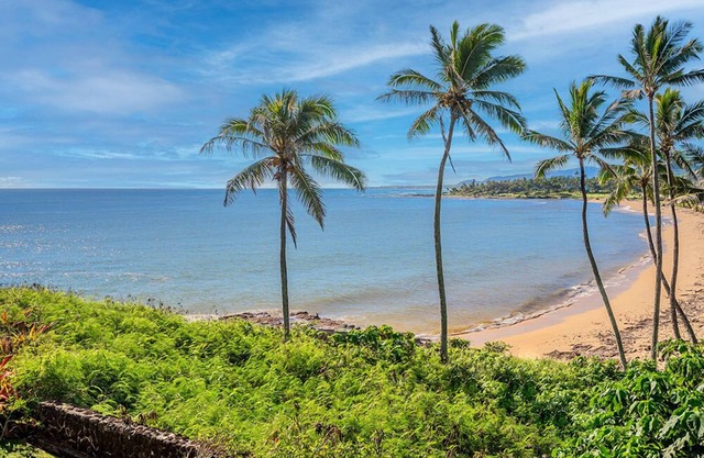 Oceanfront Wailua Bayview 203