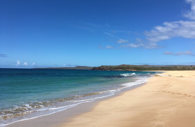 Oceanfront! Wavecrest Building "A" on the Island of Moloka'i.