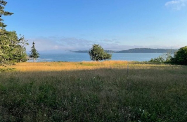 Oceanfront with Private Beach - Little Bay Retreat
