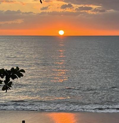 Oceanview Coastal Retreat - 2BR Getaway