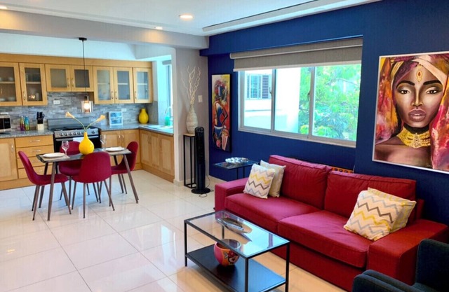 OCEANVIEW RECOVERY APARTMENT * CIPLA * CECILIP *Recliner Included* SANTO DOMINGO
