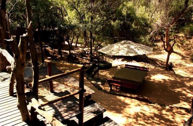 Offbeat Safaris