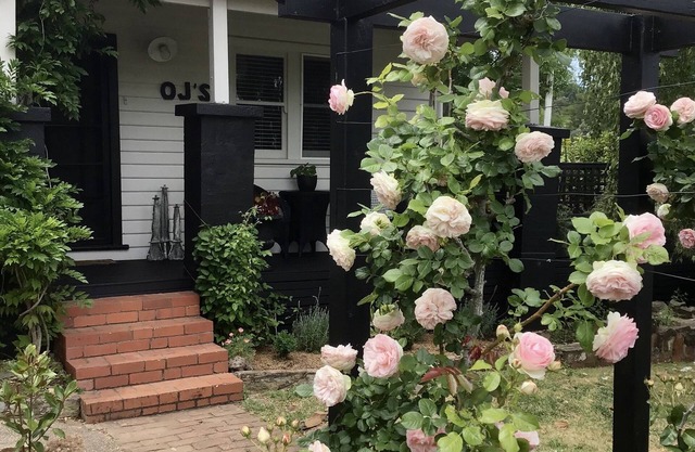 OJ's - luxury retreat minutes from shopping and restaurants