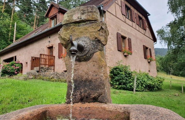 Old freestone farm built in 1880 in the middle of Alsace and nature