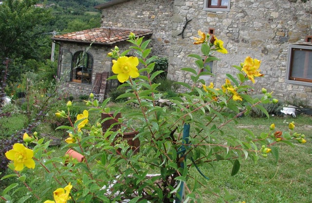 Old restored stone barn, with private pool and valley views