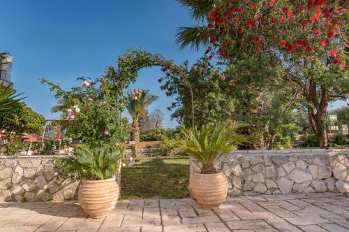 Olive Tree Apartment