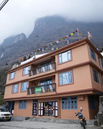 Om Green Tortoise Lachung
