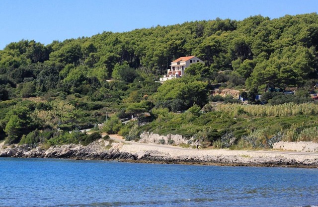 One bedroom apartment with terrace and sea view Lumbarda, Korčula (A-4418-c)