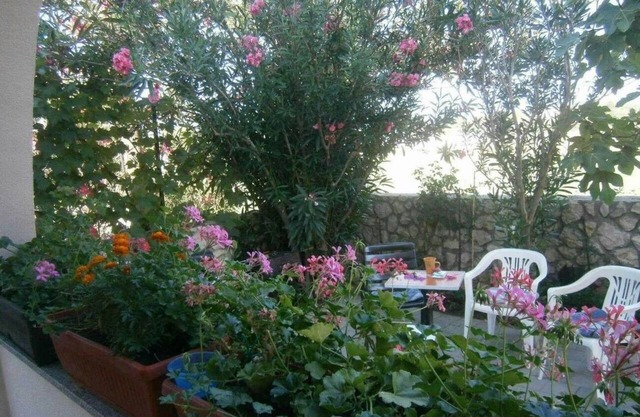 One bedroom apartment with terrace Privlaka, Zadar (A-24002-b)