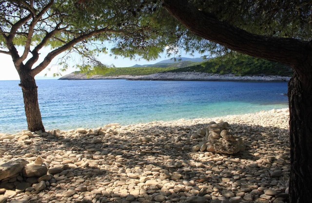 One bedroom apartment near beach Rukavac, Vis (A-2478-b)