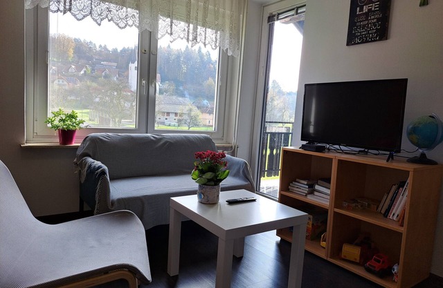 One Bedroom Apartment Andy
