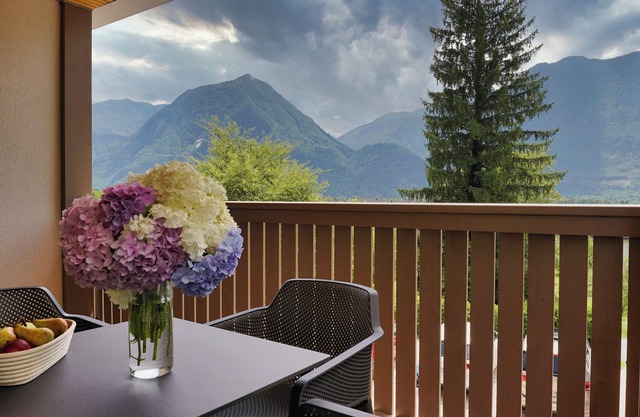 One-Bedroom Apartment with Large Private Terrace, Mountain View – House Elipsa