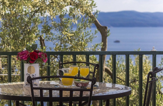 One bedroom apartment with terrace and sea view Brela, Makarska (A-11687-a)