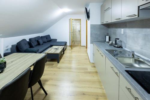 One-bedroom apartment with terrace