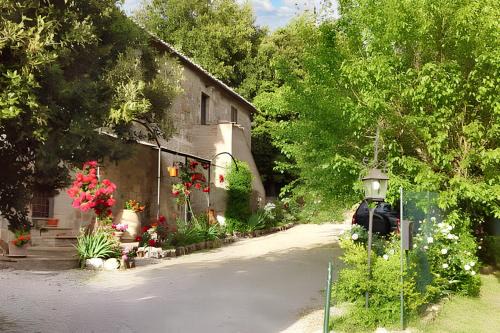 One bedroom apartment with wifi at Siena