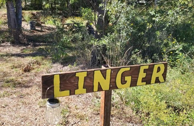 Orrasis dry tent site, LINGER