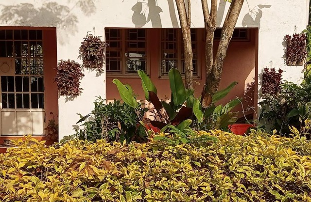 Ose cottages 2