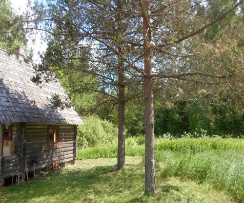 Pähnamäe metsamajake