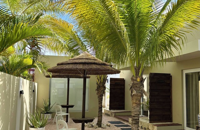 Palapa Suite # 7, walk to Eagle Beach