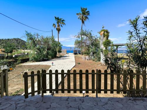Palm tree house by the beach