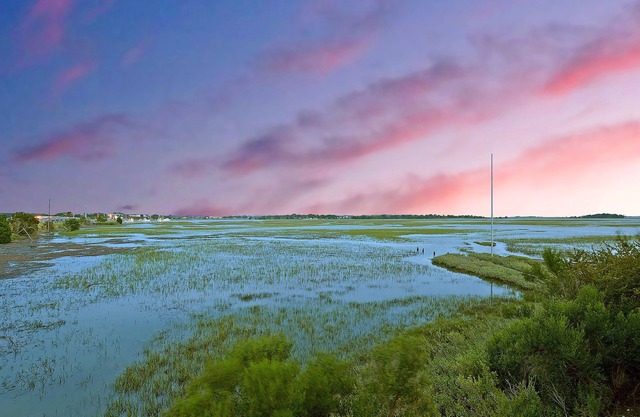 Palmetto Paradise! Overlooking Beautiful Marshland Sleeps 8!