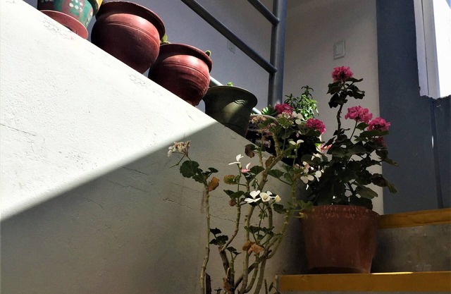 Panaqa´s Flat - New Duplex in Cusco