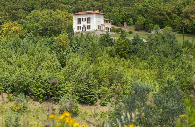 Panorama-Ferien-ToscananYour vacation home in Tuscany