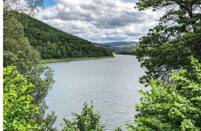 Panoramic view of Lake Harz