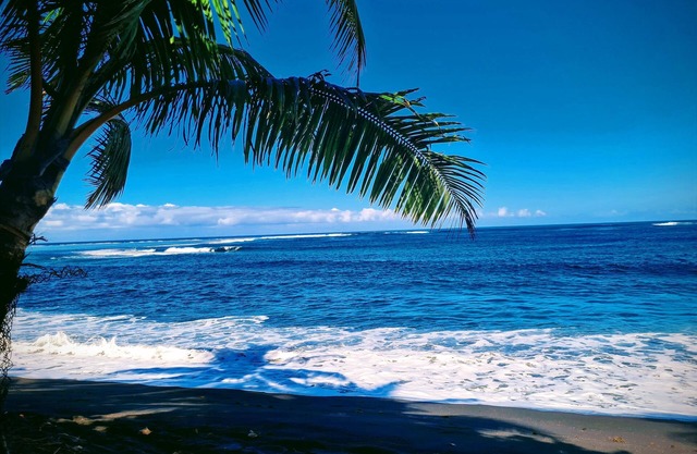 "Papara - Taharuʻu Beach 2BR House - Surf & Family - garden & secure garage
