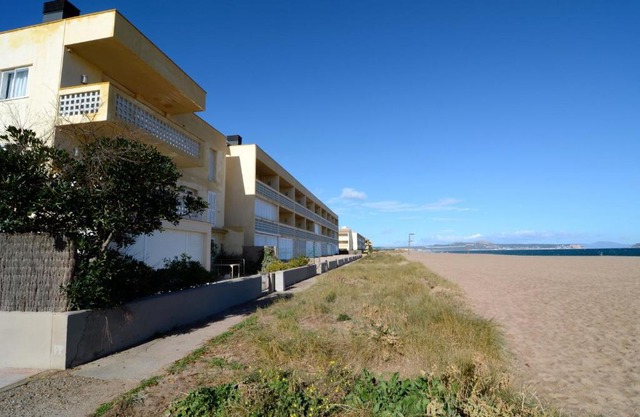 PARADIS 37