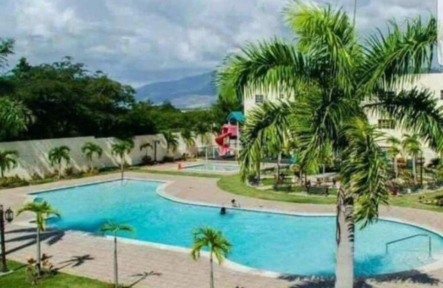 PARADISE 111 J 4