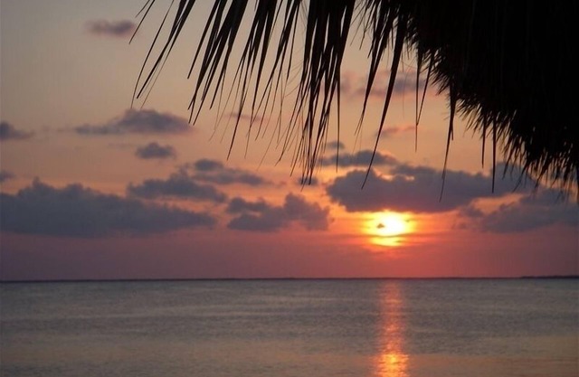 Paradise for Rent (Condo and Private Boat Slip) monthly discount for sept & oct
